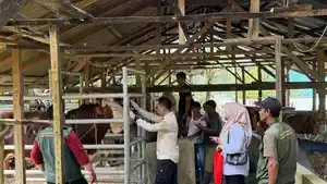 pengawasan-pemotongan-hewan-meugang-di-Atam.jpg