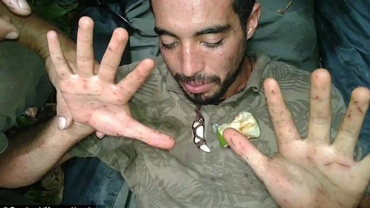 KISAH Pria Hilang dari Tenda di Hutan Amazon 9 Hari, Tolak Ritual Minta Izin hingga Ditolong Monyet