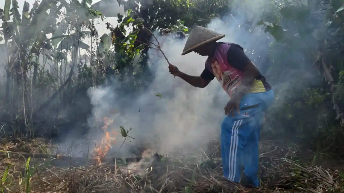 Kebakaran Hutan Bintan, Petugas Damkar Kewalahan, Warga Bantu Padamkan Api dengan Alat Seadanya