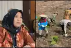 DPRD Kaltim Kritik Pemprov Kurang Serius, Masih Ketergantungan Pangan hingga Lahan Tani Jadi Tambang
