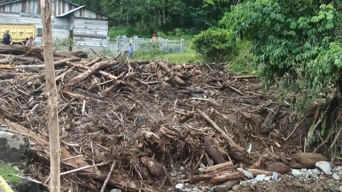 Dua Dusun di Desa Jangga Dolok Dipenuhi Gelondongan Kayu Setelah Banjir Bandang