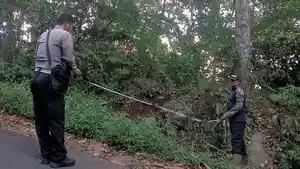 OLAH-TKP-Polisi-saat-melakukan-olah-TKP-pasca-kecelakaan-tunggal.jpg