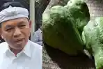 Dedi Mulyadi Bakal Temui Keluarga Lansia yang Tewas Usai Curi Labu Siam, Pertanyakan Alasan Mencuri