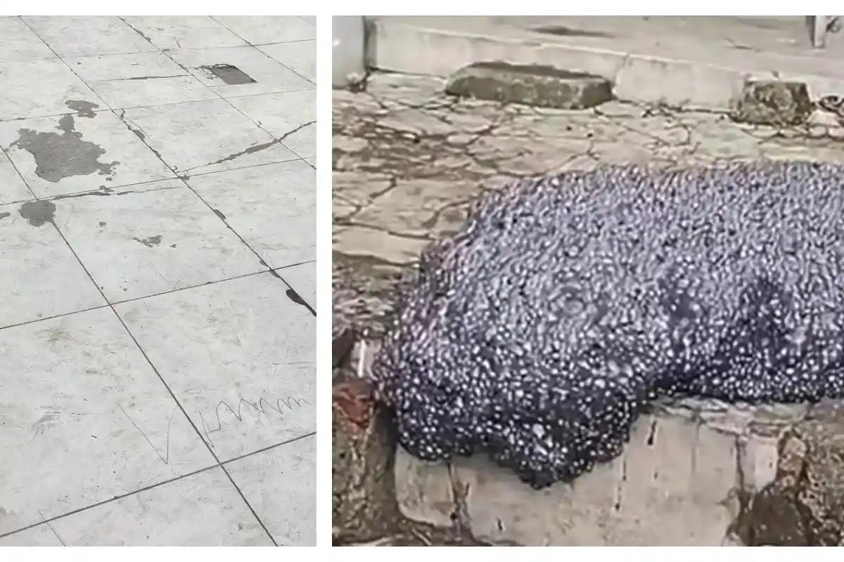 Ancaman Polusi: Setelah Gumpalan Awan Hitam di Subang, Kini Muncul Debu Hitam di Bekasi