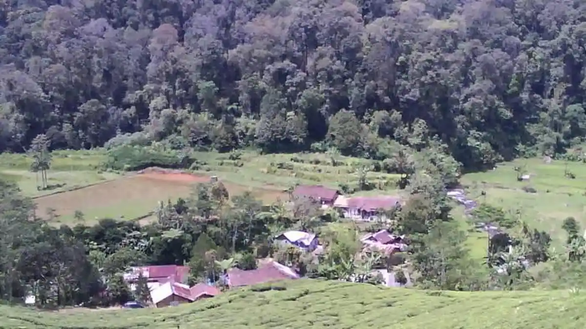 Kampung Horor Ditinggal Seluruh Penduduknya Karena Ketakutan