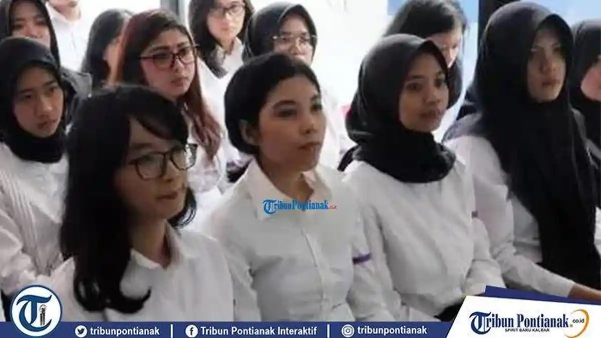 Pendaftaran CPNS Resmi Dibuka Per 15 Juli 2024 Lengkap Jadwal Seleksi Terbaru dari BKN