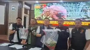 Jual-beli-sisik-trenggiling.jpg