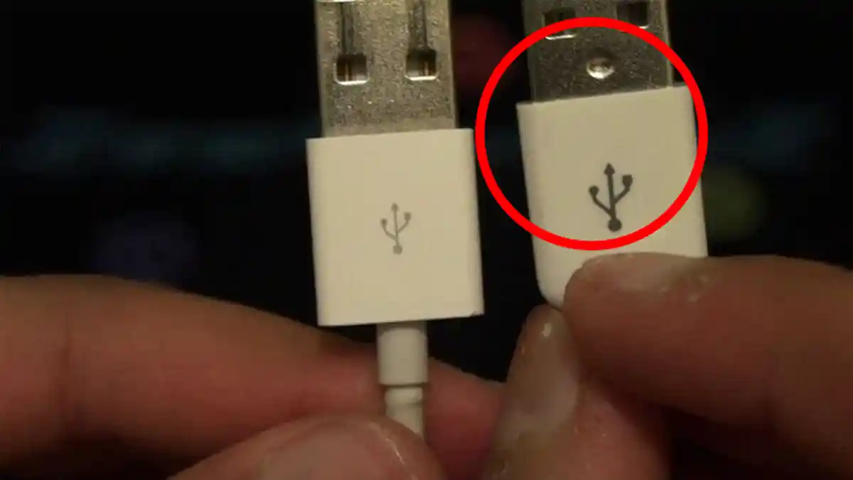 Jangan Tertipu! Ini Cara Membedakan Charger Xiaomi Asli dan Palsu