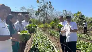 Kunjungan-Kerja-Kepala-BBPP-Kementan-Galakkan-Pertanian-Organik-di-Kabupaten-Belu.jpg