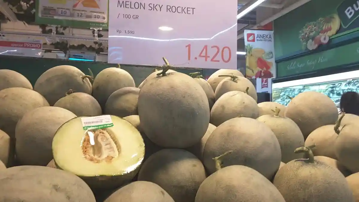 Buah Melon Sky Rocket Seharga Rp 1.420 di LotteMart MP