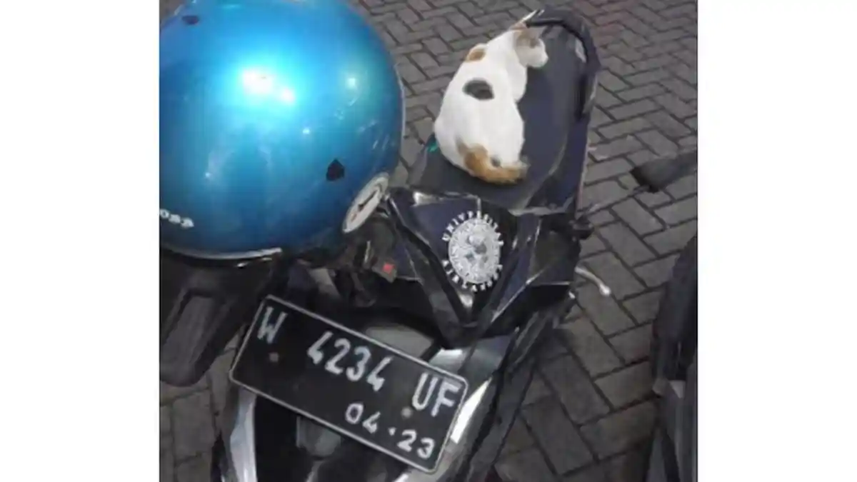 Lupa Cabut Kunci, Honda Beat Pemuda Asal Sidoarjo Digondol Maling di Depan Klinik Wonokromo