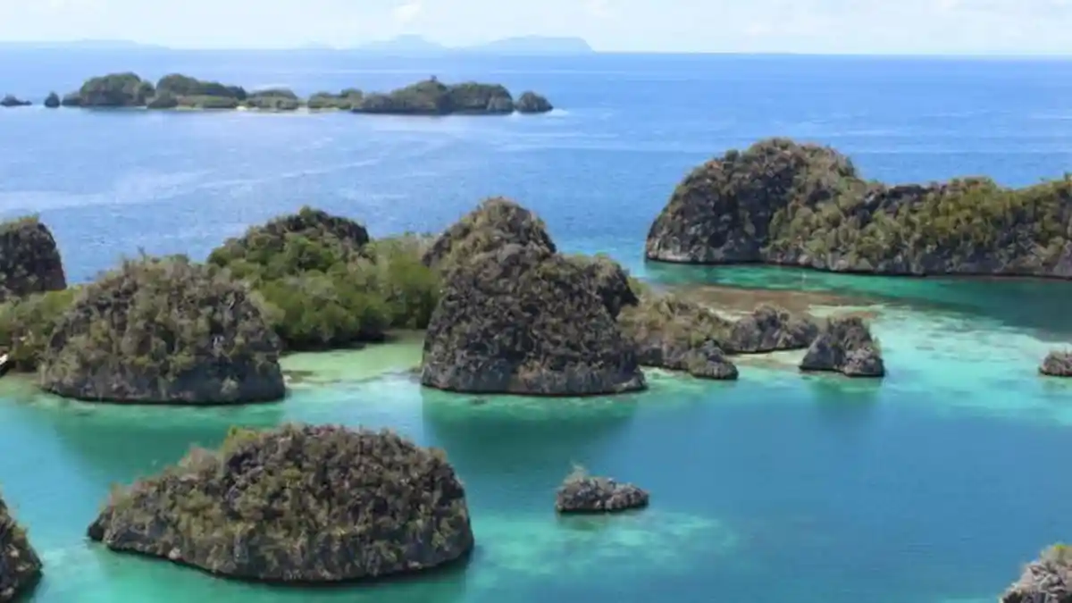 Ingin ke Raja Ampat tapi Minim Biaya Bisa Coba Cara Backpacker Begini Kisaran Biaya yang Diperlukan