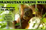 brosur-orangutan_20171115_163204.jpg