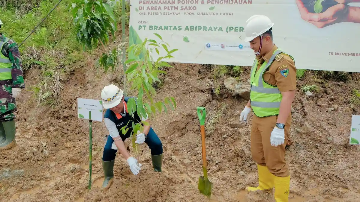 Lewat Anak Usahanya, Brantas Abipraya Akan Tanam Bibit Pohon di PLTM Padang Guci