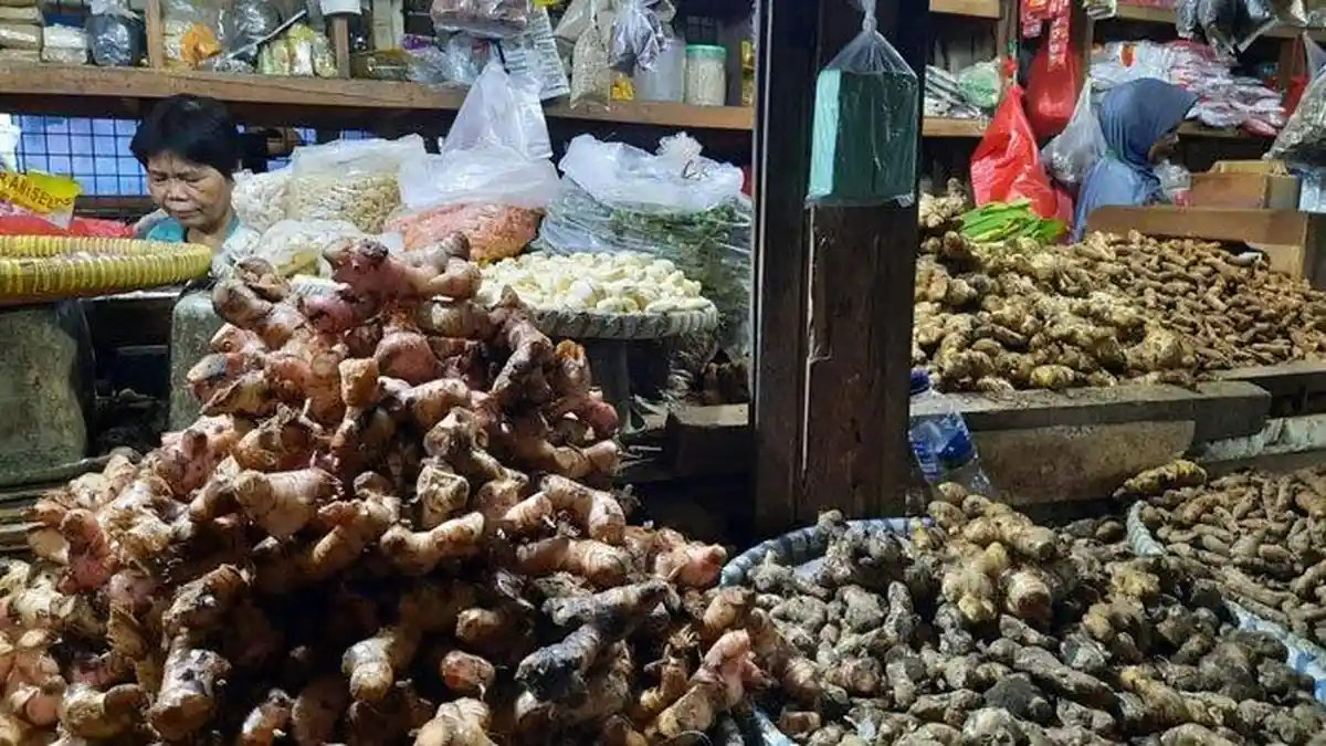 Benarkah Kunyit dan Jahe Bisa Cegah Virus Corona? Simak penjelasan Lengkap Pakar Herbal Unair