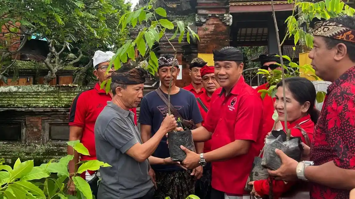 Rayakan Ultah Megawati, PDIP Gianyar Tanam 500 Pohon di Bali