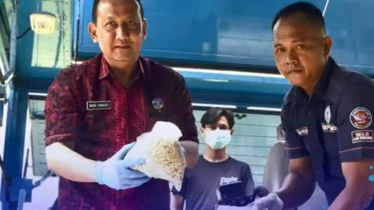 BNN Buka Lowongan Kerja 2024, Butuh Banyak Lulusan D3 Jurusan Keperawatan, Tamatan SMA Boleh Daftar