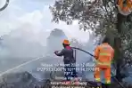 Kebakaran Kawasan Hutan di Rimbo Panjang Kampar Meluas, Sudah 10 Ha dalam 2 Hari
