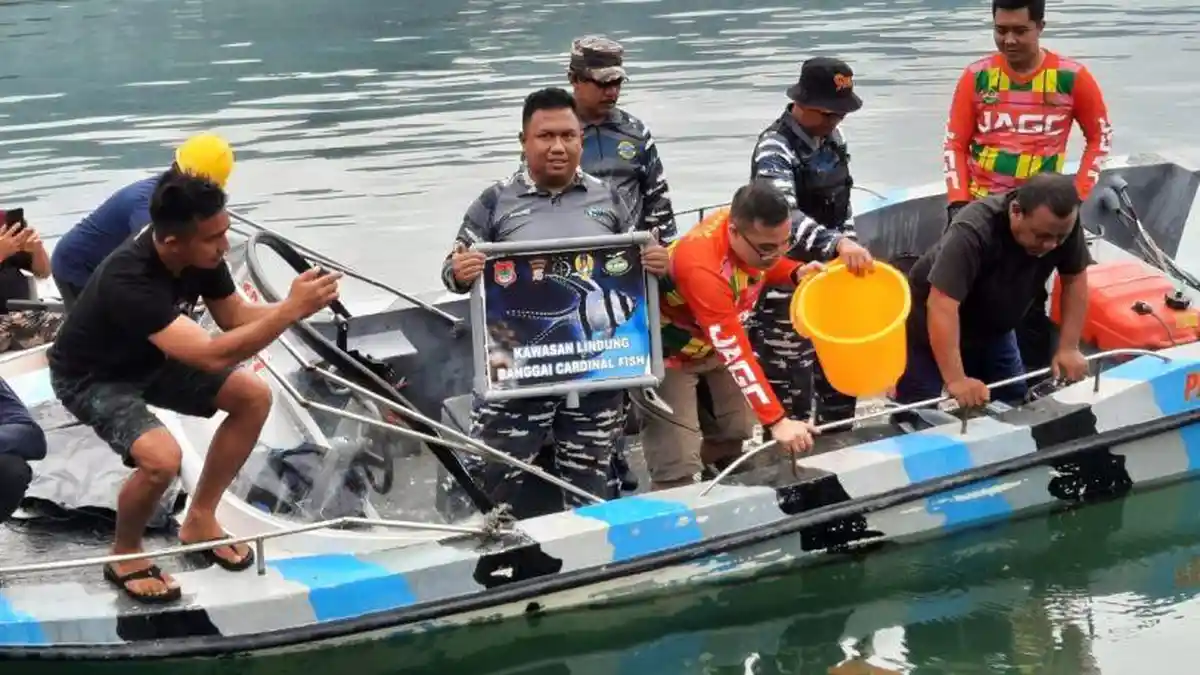 LSM GAM, Kejari Banggai dan Posal Lepasliarkan Cardinal Fish di Teluk Lalong