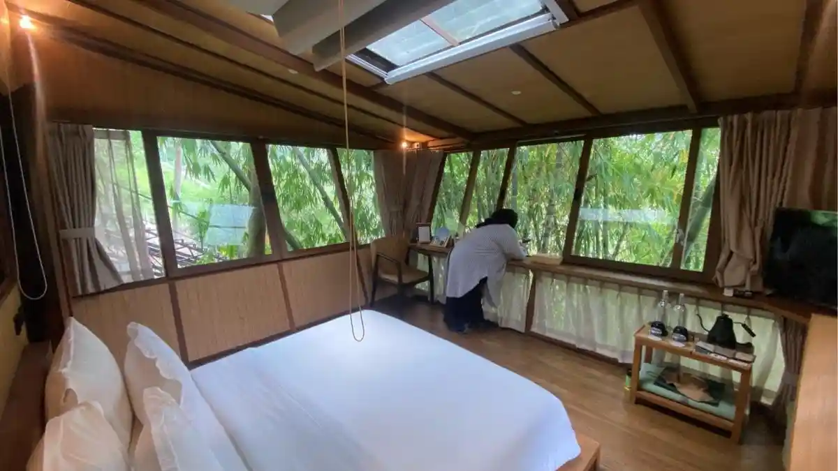 Menyusuri Hutan Fantasi di Chanaya Resort untuk Liburan Akhir Tahun di ...