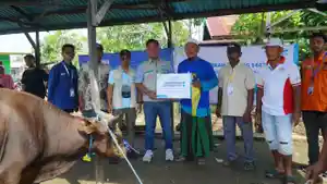 Penyerahan-hewan-potong-dalam-program-Tebar-Daging-BerkaH.jpg