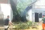 2-Rumah-Warga-di-Labibia-Mandonga-Kendari-Sulawesi-Tenggara-Tertimpa-Pohon-Tumbang.jpg