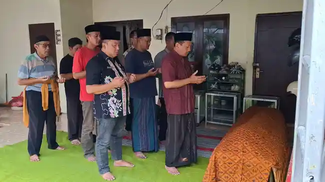 Tribun