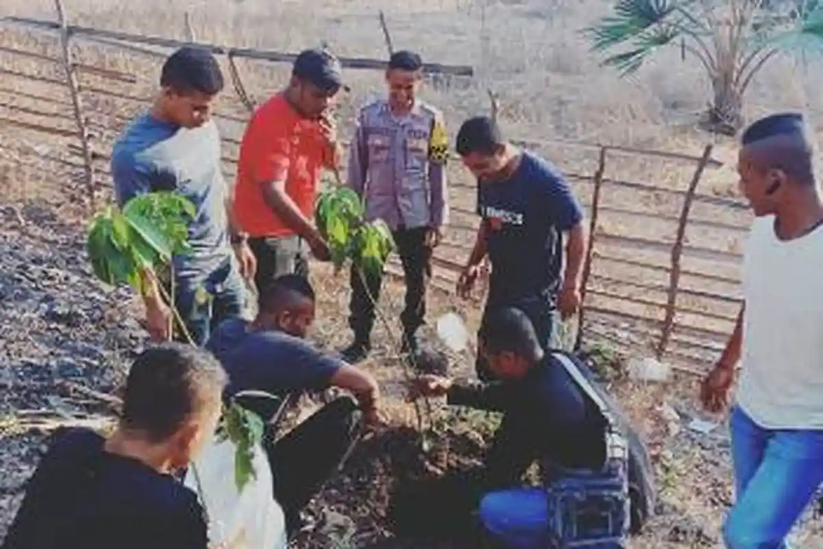 Warga Desa Silawan Budidaya Alpukat di Lahan Pekarangan