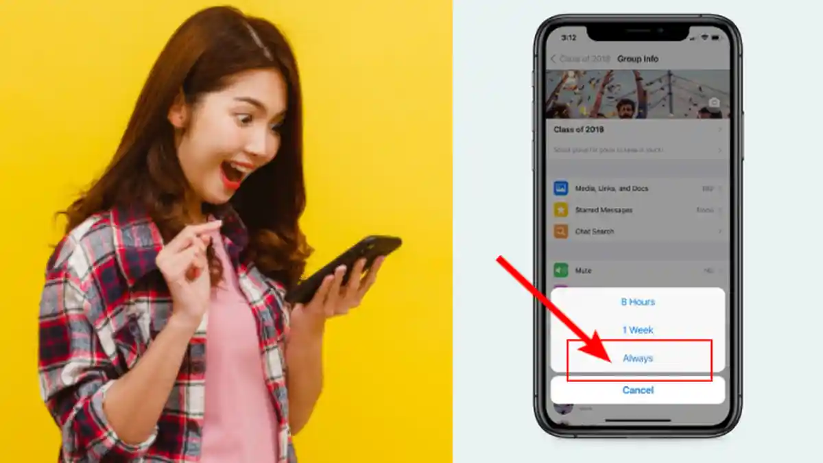 Tutorial Aktivasi Mute Notifikasi Chat WhatsApp Selamanya, Coba Fitur Baru Ini