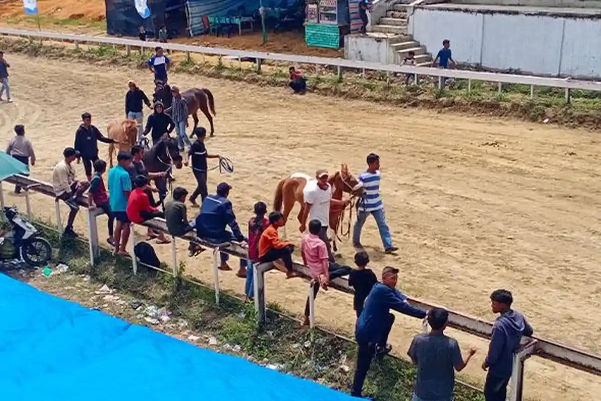 Pacuan Kuda Tradisional Resmi Digelar di Gayo Lues, Wabup: Tradisi yang Terus Dilestarikan