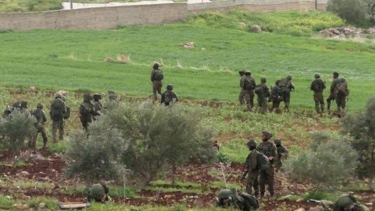 Pohon Gharqad, Tanaman yang Disebut Akan Jadi Tempat Persembunyian Yahudi