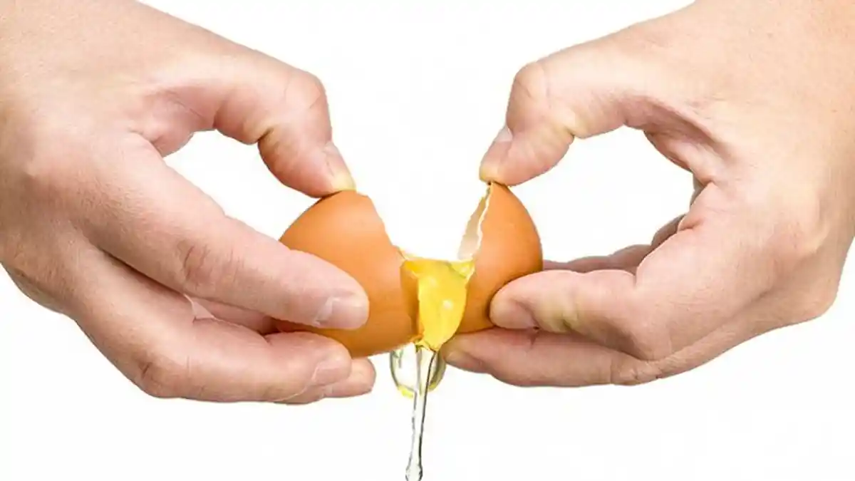 Meski Mengandung Protein, Ternyata Telur Dapat Sebabkan Dampak Negatif pada Tubuh