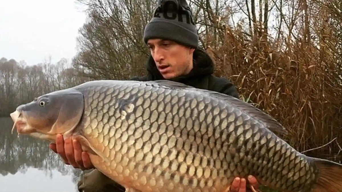 Gagal Bela Timnas Inggris Mark Noble Pilih Mancing