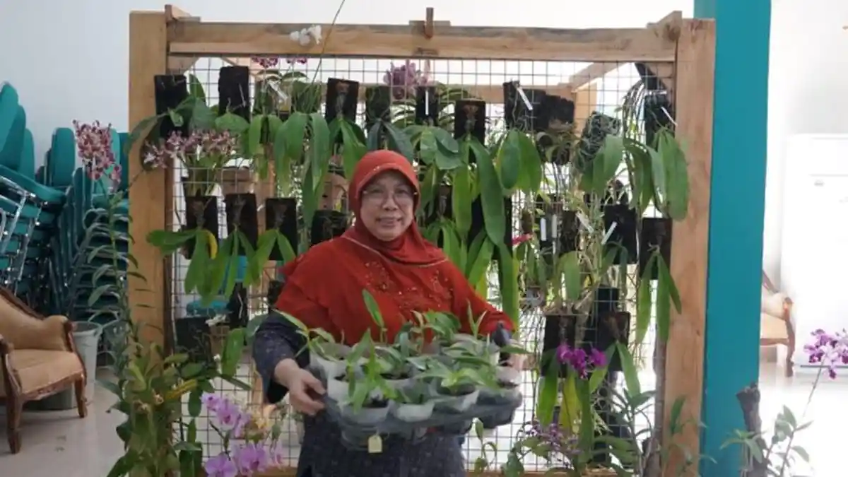 Unila Akan Luncurkan Pusat Penelitian Anggrek