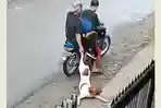 pencuri-anjing-meracun.jpg