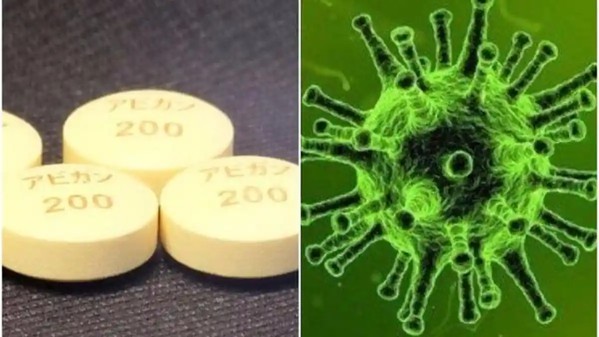Klorokuin Tak Perlu Dibeli dan Disimpan Masyarakat, Pemerintah: Itu Obat, Bukan Vaksin