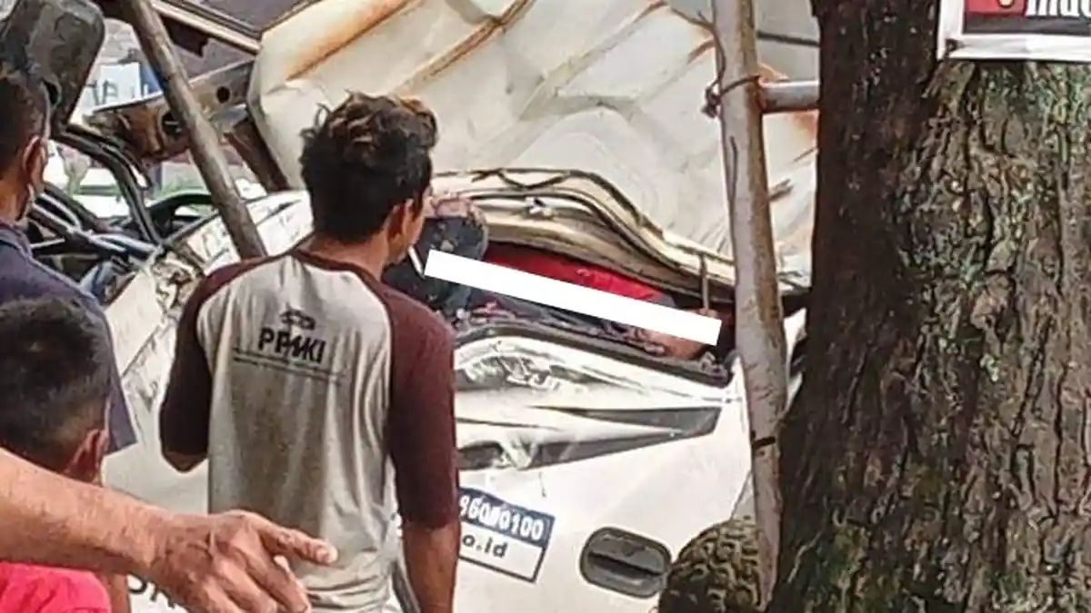 BREAKING NEWS: Truk Boks Tabrak Pohon di Blotongan Salatiga, Sopir dan Penumpang Meninggal di Lokasi