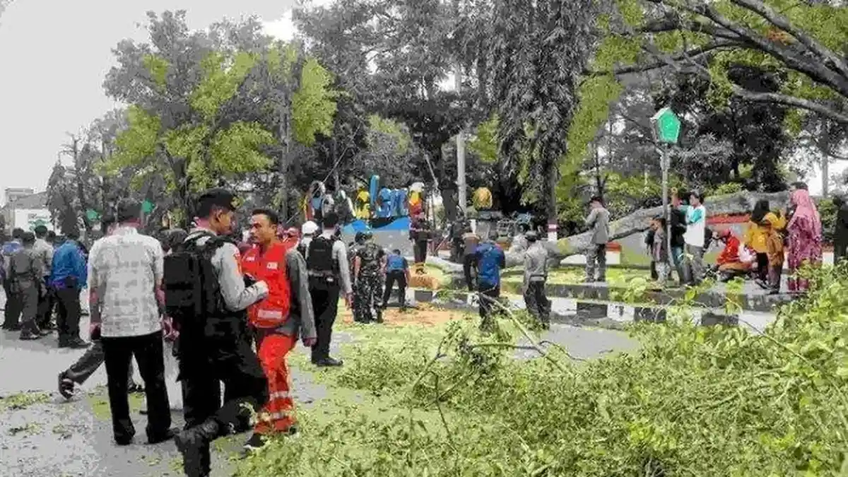 Takbir dan Istigfar Terdengar Samar Saat Pohon Tumbang yang Sebabkan 2 Orang Meninggal di Pemalang