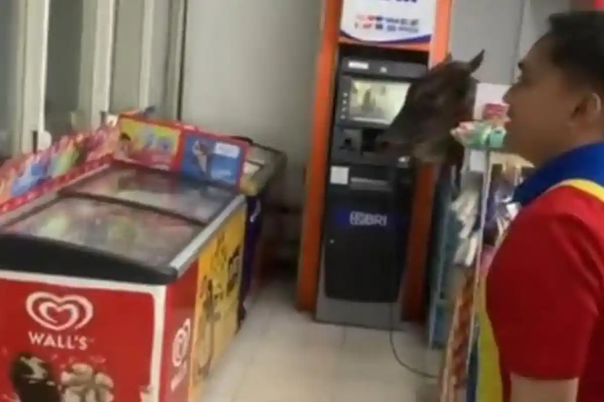 Bikin Heboh, Sapi Seberat 350 Kg Terlepas Masuk ke Dalam Minimarket di Jalan RTM Depok