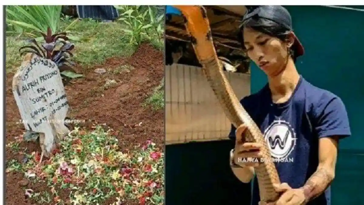 Populer Regional: Eks Asisten Panji Petualang Tewas Dipatuk Ular hingga Gudang BBM Ilegal Terbakar