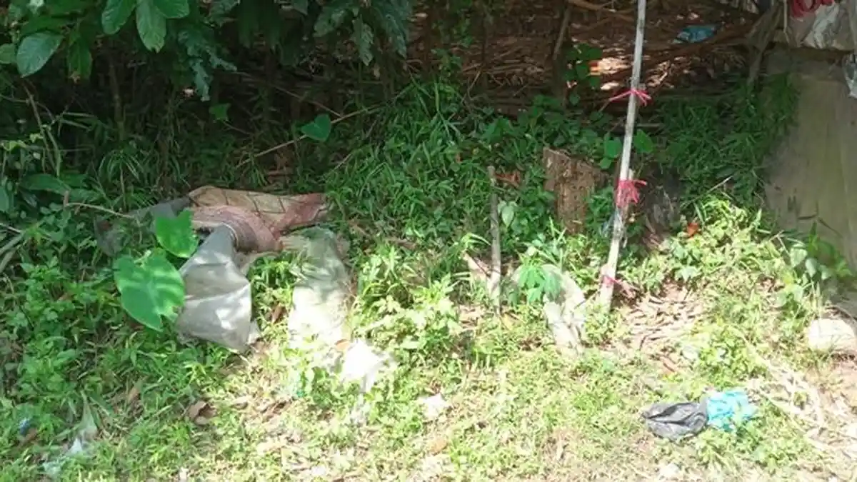 Warga Sekopek Mijen Semarang Temukan Bayi Dibuang di Semak-semak, Depan Wisata Pemancingan