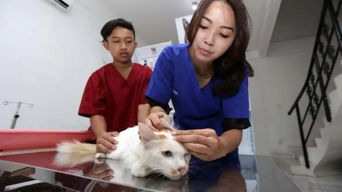 Pemkot Tangerang Sediakan Layanan Pemeriksaan Hewan Peliharaan Gratis