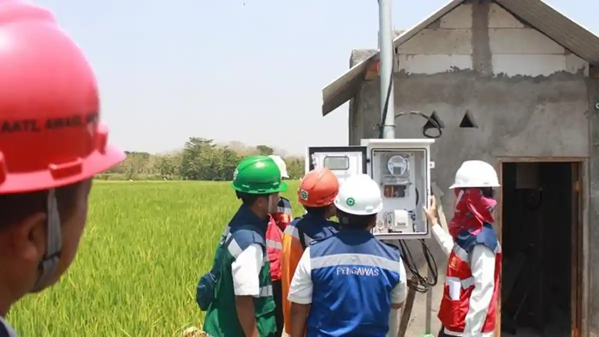 Panen Raya, Program Electrifying Agriculture PLN Tingkatkan Produktivitas Pertanian Padi di Ponorogo
