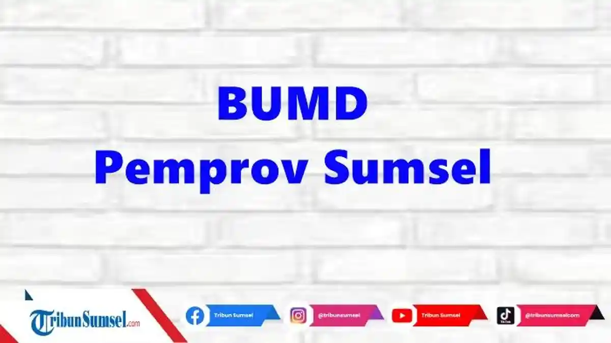 Pemprov Sumsel Pastikan Rombak Manajemen Sejumlah BUMD, DPRD Dorong Profesionalitas