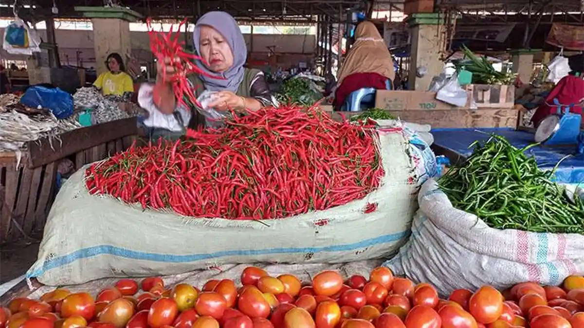 Harga Tomat di Pasar Paya Ilang Takengon Hari Ini 25 April 2026 Stabil