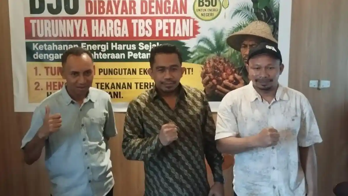 Serikat Petani Kelapa Sawit Dukung B50, Minta Harga TBS Petani Tak Jadi Korban - Tribunnews.com