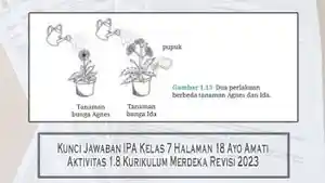 Kunci-Jawaban-IPA-Kelas-7-Halaman-18-Ayo-Amati-Aktivitas-18-Kurikulum-Merdeka-Revisi-2023.jpg