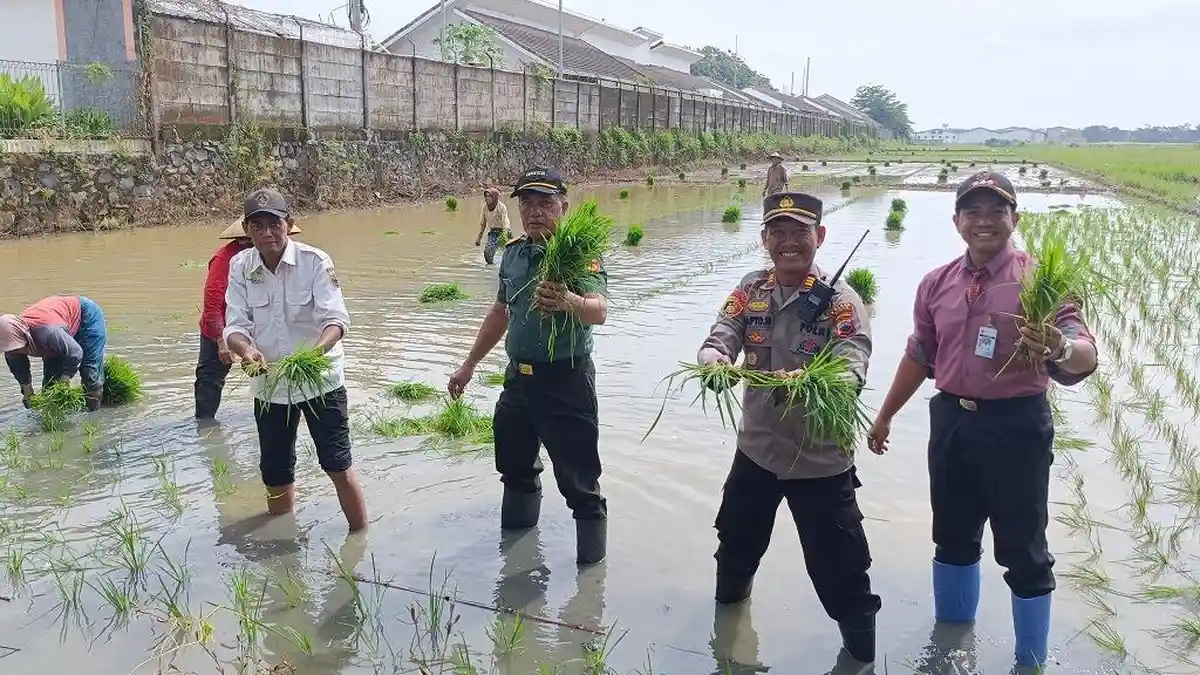 Dukung Program Swasembada Pangan Asta Cita, Optimalisasi Lahan Produktif di Batang