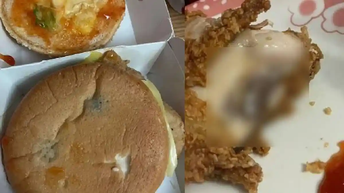 Beli Burger dengan Harga Mahal, Wanita Kaget Saat Menerima Roti Berjamur dan Ayam yang Basi