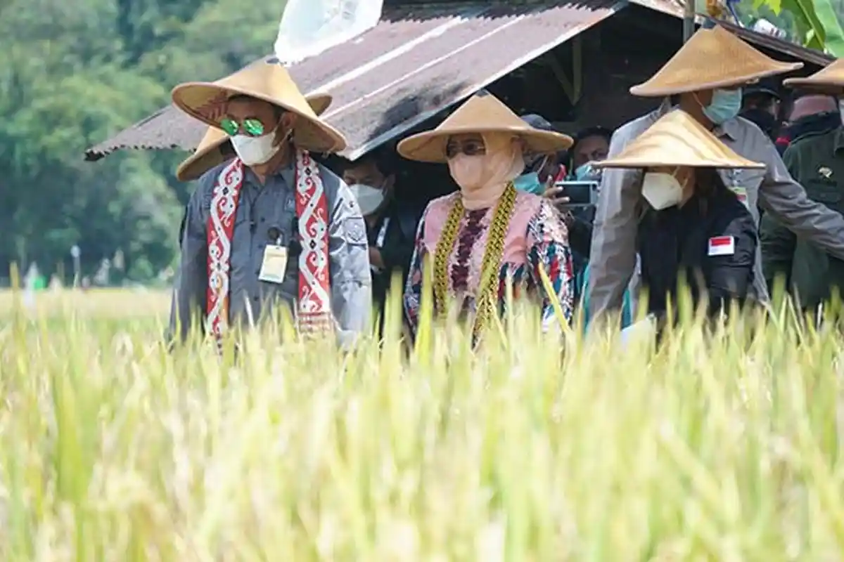 Maria Lestari Sebut Ketahanan Pangan Merupakan Isu Strategis dalam Pembangunan Nasional